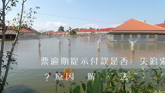 匯票逾期提示付款是否喪失追索權？原因與解決辦法